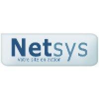 netsys logo image