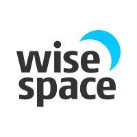 wise.space logo image