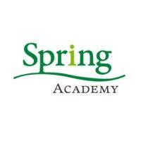 spring academy logo image