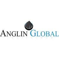 anglin global affiliates llc logo image