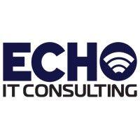 echo it consulting llc logo image