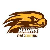 hawthorn amateur football club inc. logo image