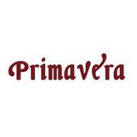 primavera capital group logo image