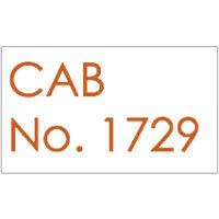 cab no. 1729 logo image