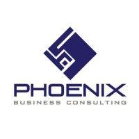 phoenix business consulting india