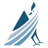 avamore capital logo image