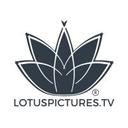 logo of Lotus Pictures Inc