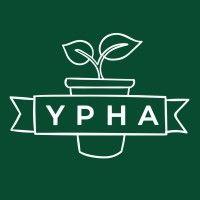 ypha logo image