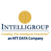 intelligroup logo image