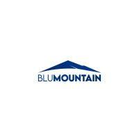 blumountain services logo image