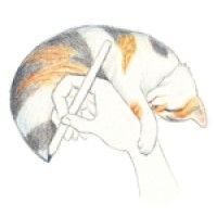 i love to draw cats: pet portraits+videos logo image