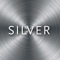 silver regulatory associates llc logo image