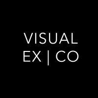 visual ex | company logo image