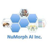 numorph ai inc. logo image