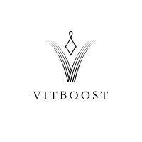 vitboost logo image