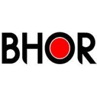 the bhor chemicals and plastics pvt. ltd. logo image