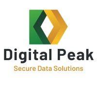 digital peak logo image