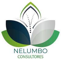 nelumbo consultores