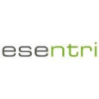 esentri ag logo image