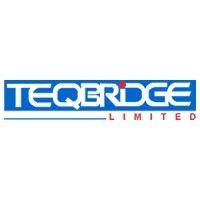 teqbridge limited logo image