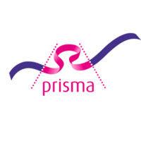 prisma logo image