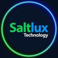 saltlux technology logo image