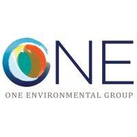 one environmental group, llc