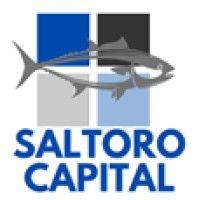 saltoro capital, lp logo image