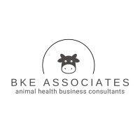 bke associates ltd logo image