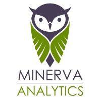 minerva analytics ltd logo image