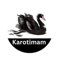 karotimam innovations pvt ltd logo image