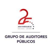 grupo de auditores públicos - fy international