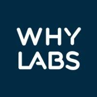 whylabs logo image