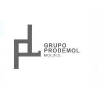 grupo prodemol moldes logo image