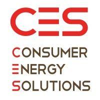 consumer energy solutions, inc.