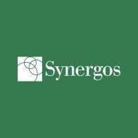 synergos nigeria