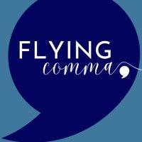 flying comma consulting logo image