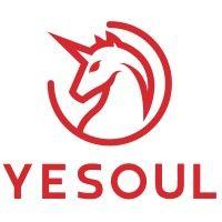 yesoul health technology co., ltd.