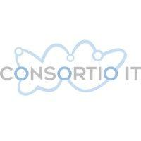 consortio it logo image