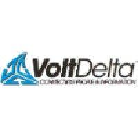 volt delta international logo image