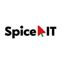 spice it recruitment agency logo image