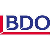 bdo serbia logo image