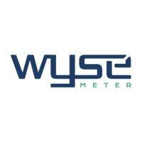 wyse meter solutions inc. logo image