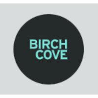 birch cove digital gmbh logo image