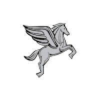 pegasus technologies, inc. logo image