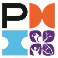 pmi amazônia chapter logo image