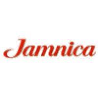 jamnica plus logo image