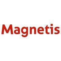 magnetis logo image