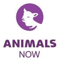 animals now (formerly anonymous for animal rights) logo image