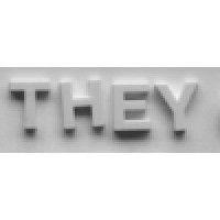 they logo image